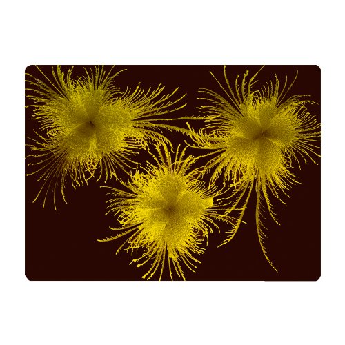 Gold  Three Feathers Rectangle Lacquered Placemat with Burgundy background