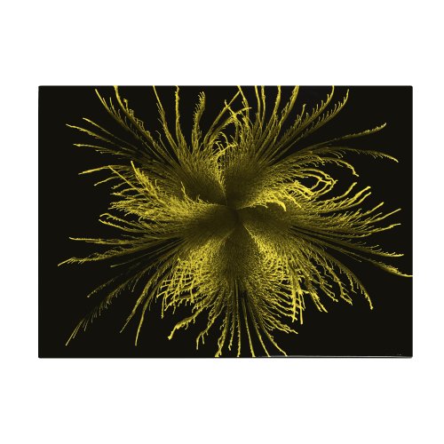 Gold Feather Rectangle Lacquer Placemat 