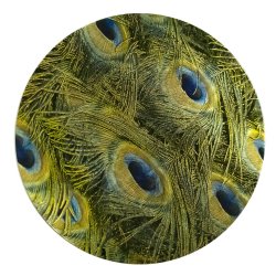 Green Round Lacquer Peacock Feather Placemat