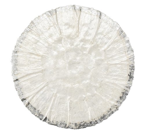 Silver Rimmed Pure Shell Round Placemat
