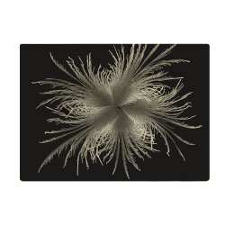 Silver Feather Rectangle Lacquer Placemat
